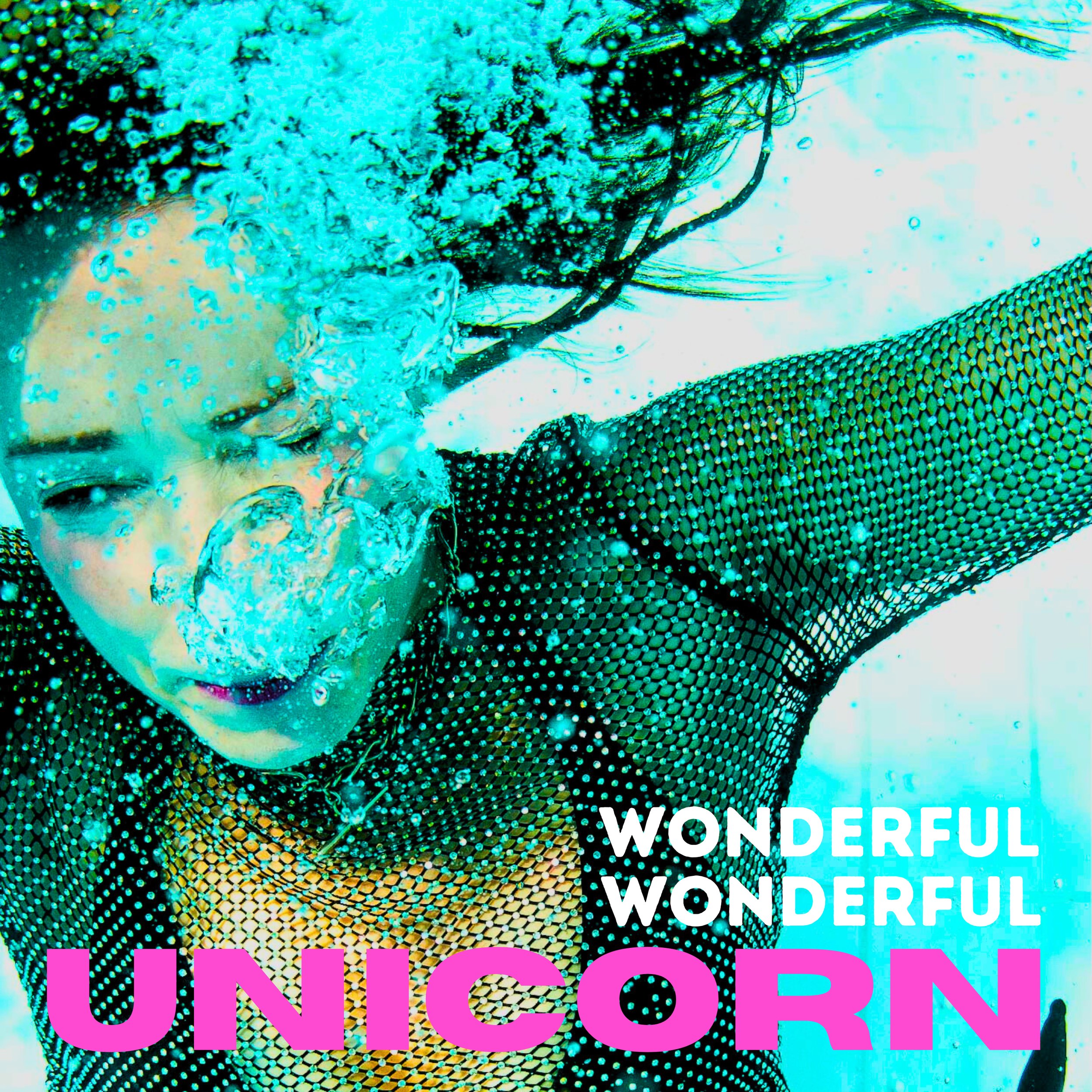 UNICORN DVD UNICORN THE BOX Wonderful Days